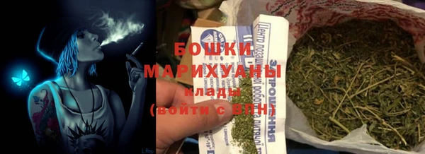 дмт Пестово