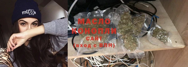 дмт Пестово