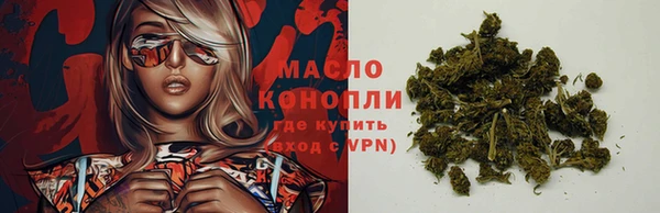 индика Пересвет