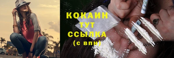 индика Пересвет