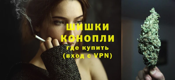 дмт Пестово