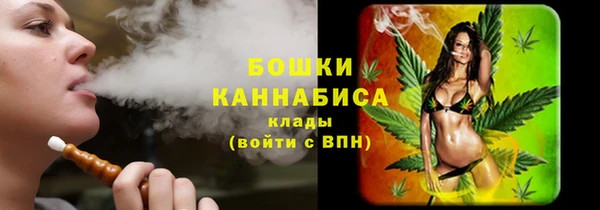 шишки Елабуга