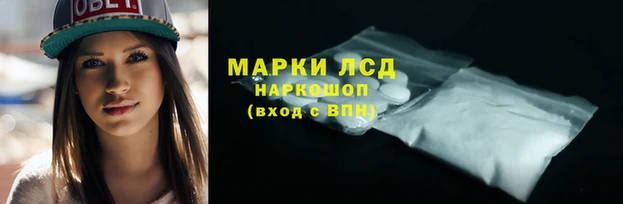дмт Пестово