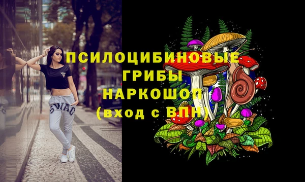 индика Пересвет