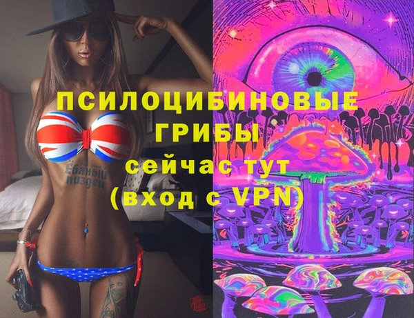дмт Пестово
