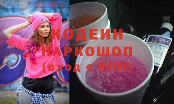 дмт Пестово