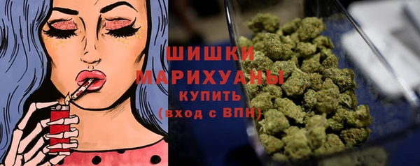 индика Пересвет