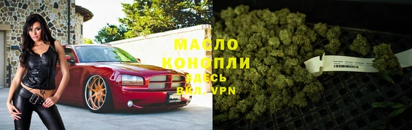 дмт Пестово