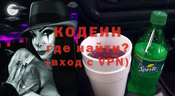 индика Пересвет