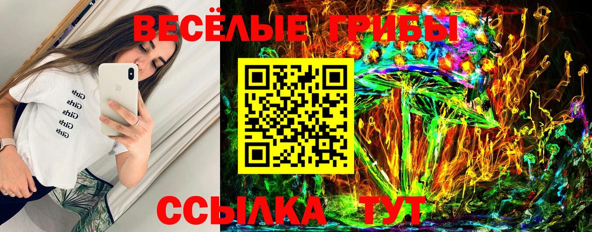 Галлюциногенные грибы Cubensis  Балашов 