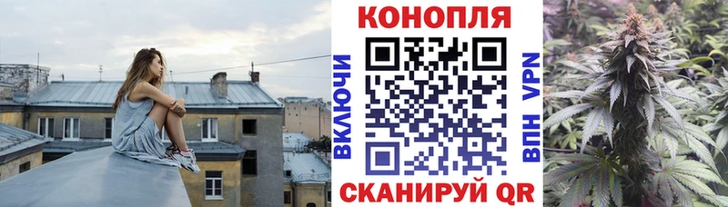 Бошки марихуана Ganja  Балашов 